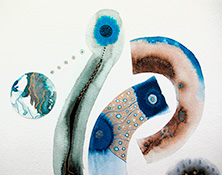 In/Ex-Vitae par Pauline L. (Curiosités) & Lucie O'Moon (Encres) 3