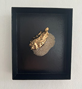 In/Ex-Vitae par Pauline L. (Curiosités) & Lucie O'Moon (Encres) 6