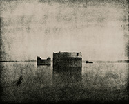 Morlenn Brest par Guy Bescond 1